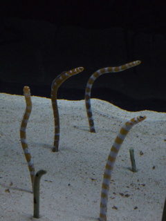 emori20230214_27