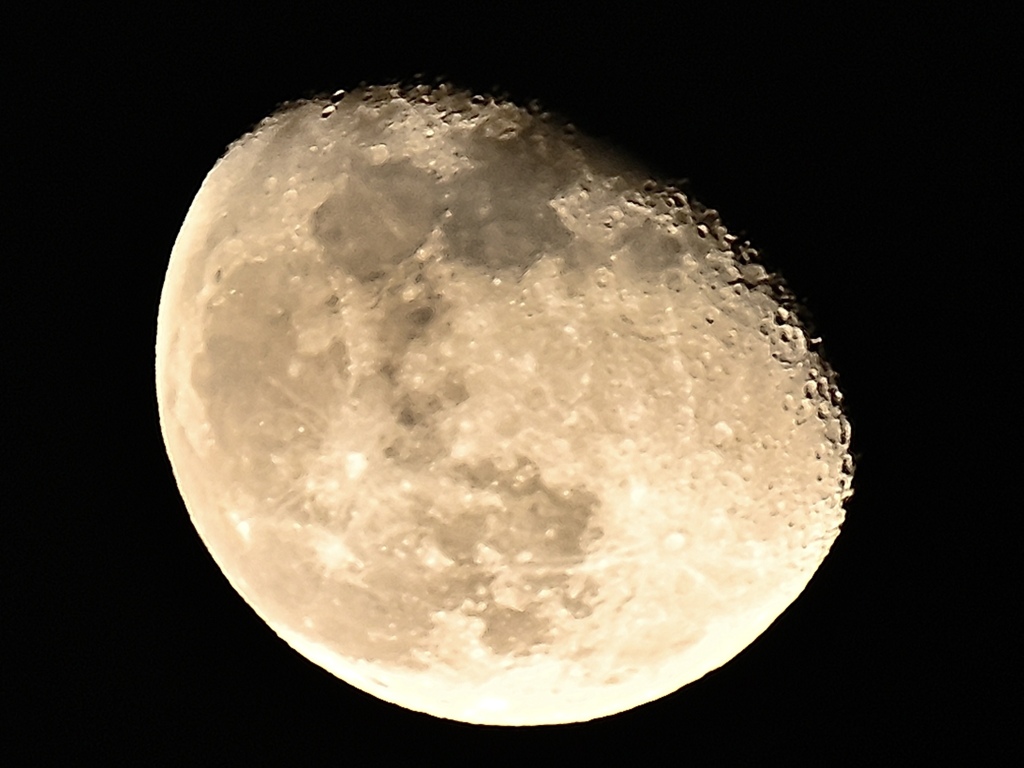DSC_9912