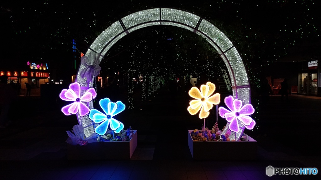 ライト・エミッティング・フラワー