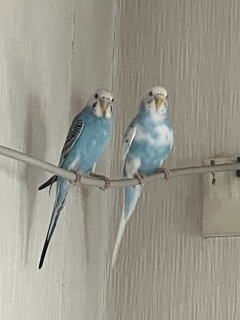旦那とツーショット