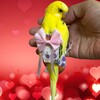恥ずかしいって・・きみどりちゃん　