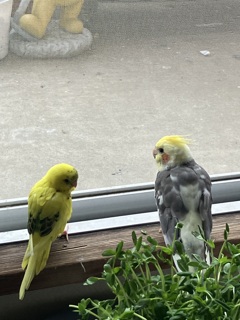 なかよし