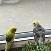 なかよし