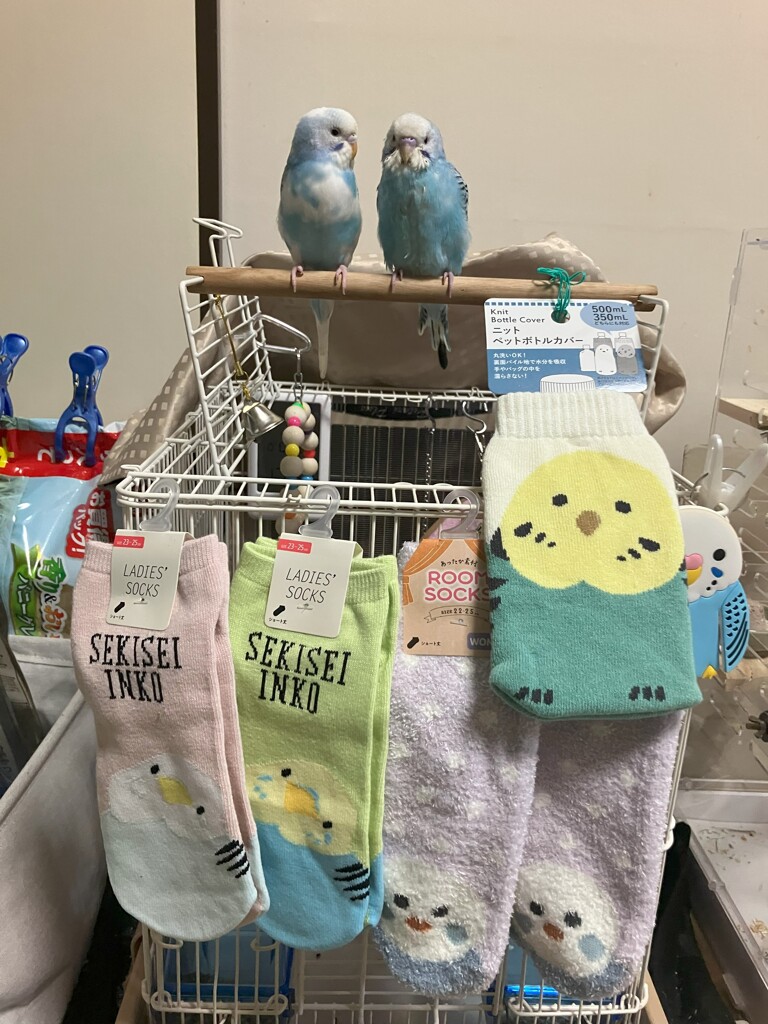 お一ついかがですか？の売り子さん