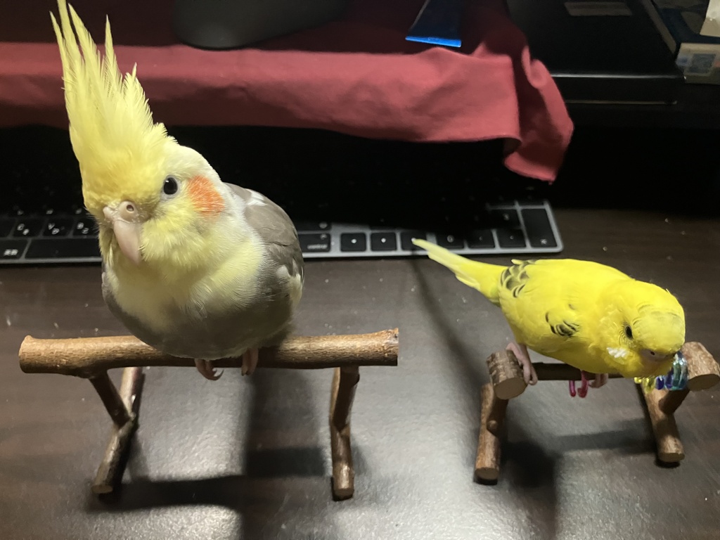 なによ？って感じ