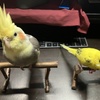 なによ？って感じ
