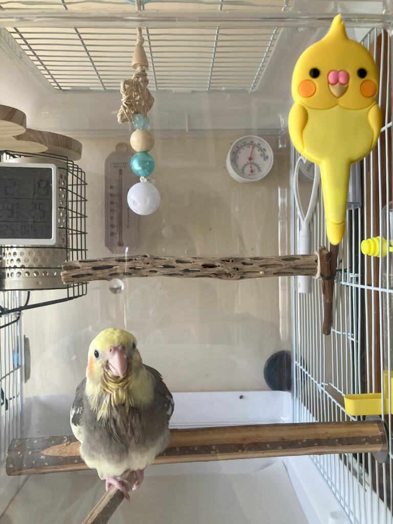 メルカリで表札見つけました。