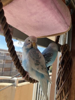 日向ぼっこ