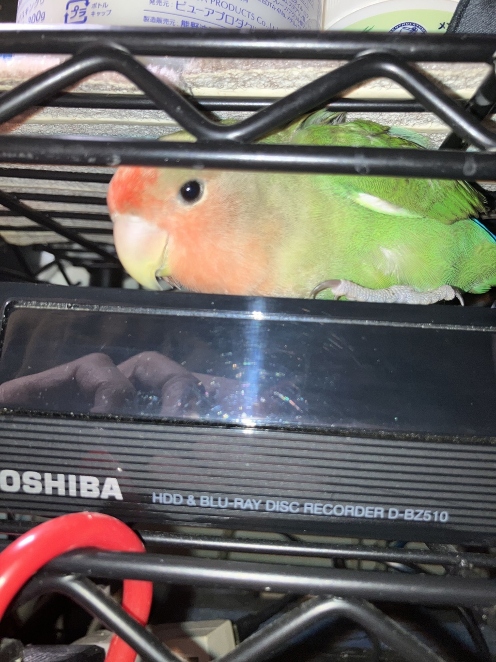  探したんだぞ～　こんなところにいた