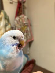 事故