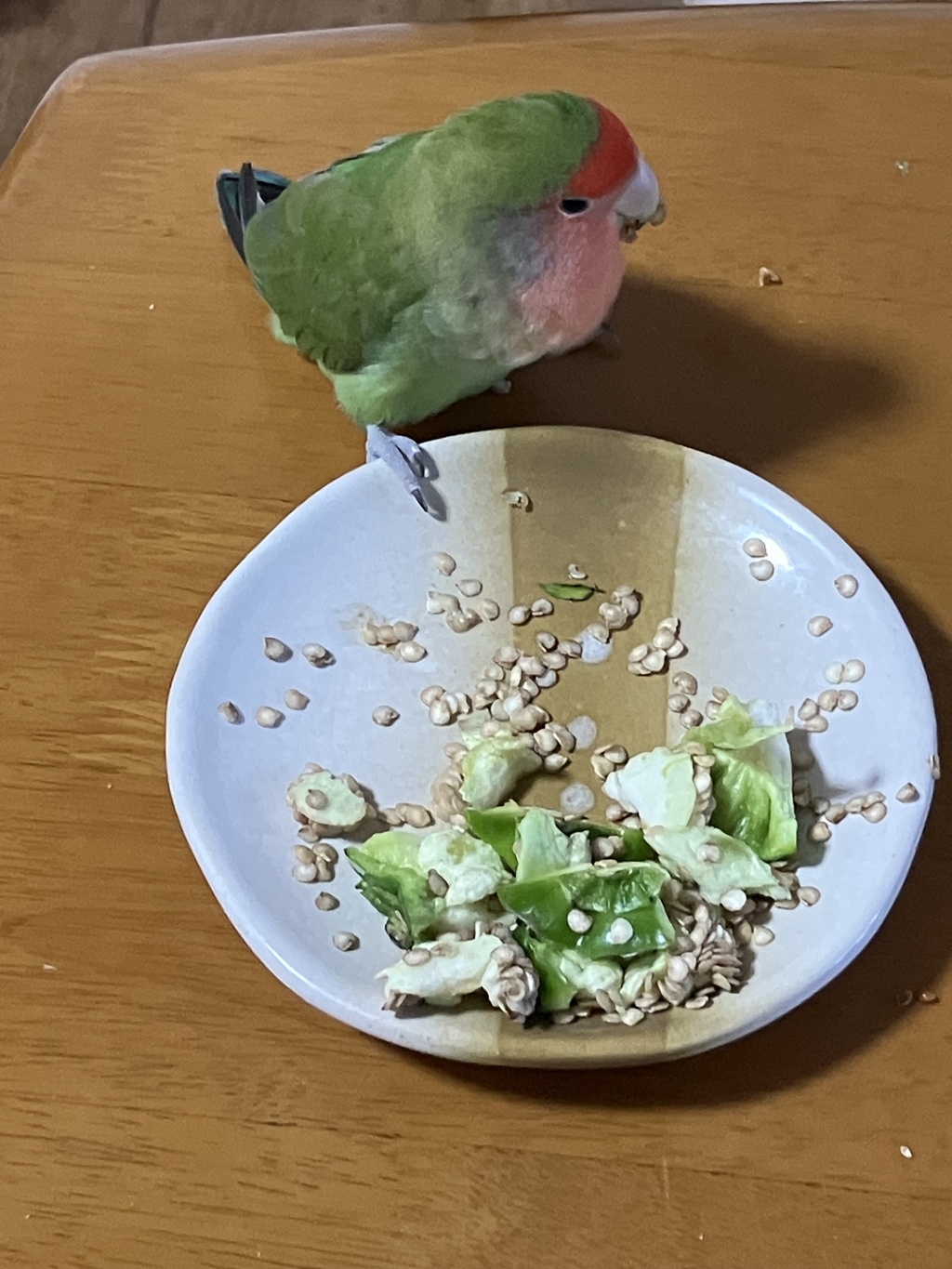 ピーマンの種は任せてください。もぐもぐ