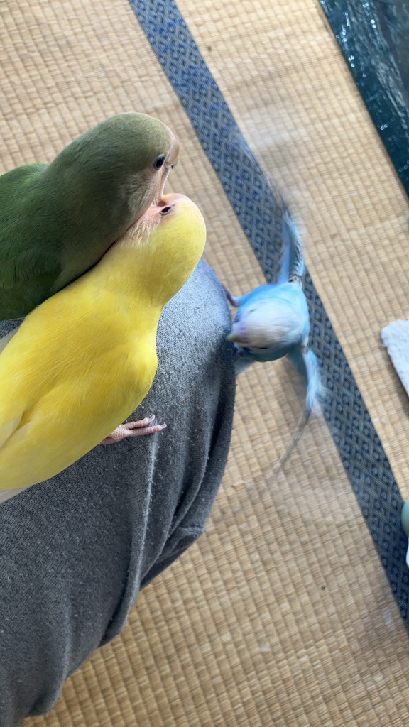 俺も遊んでくれ～　の図