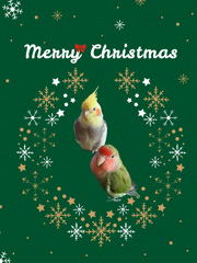 来週のライブのポスター