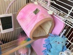 ケージ紹介2