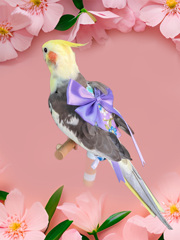 ちょんま君
