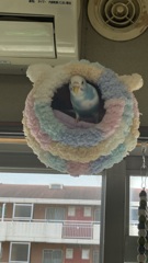 私の別邸です