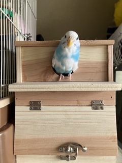 何か？