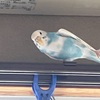 のびー