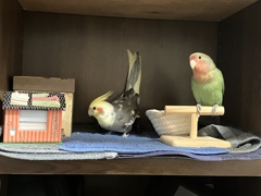 最近、やたら仲がよい　