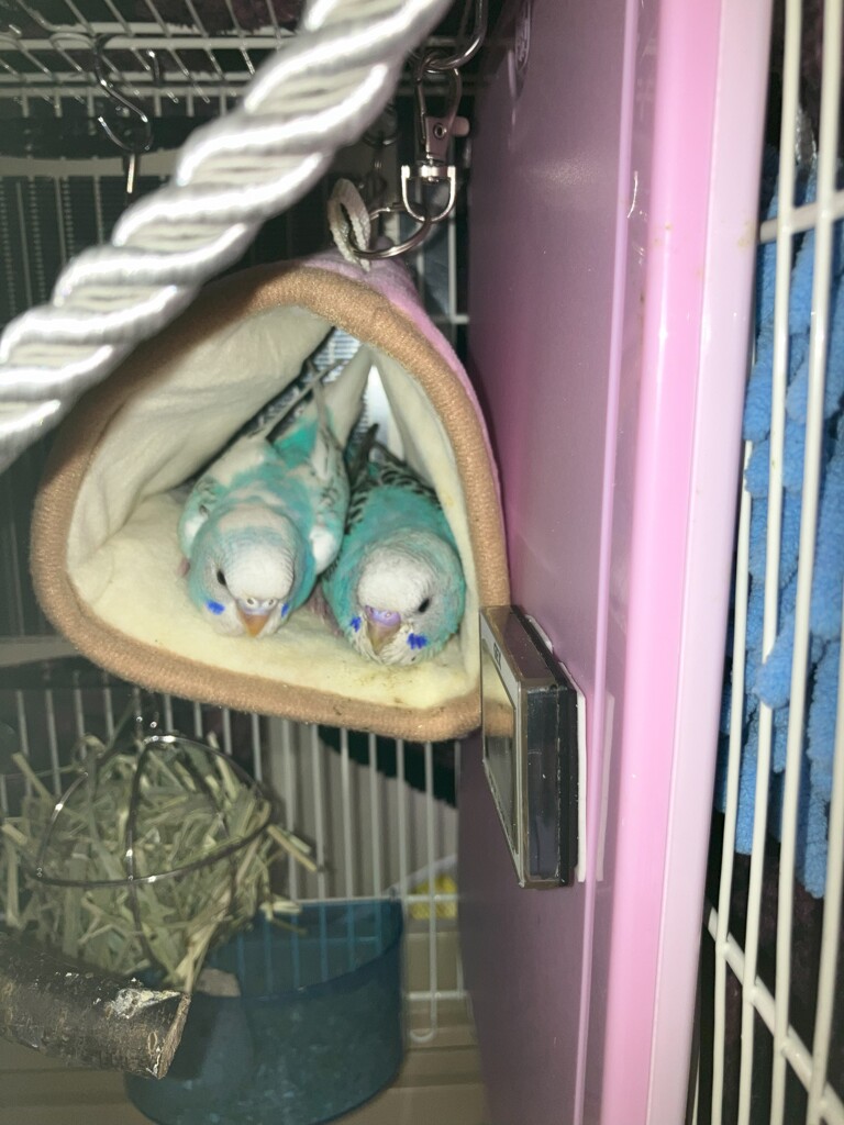 自分たちで入るんです。