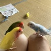 会議中