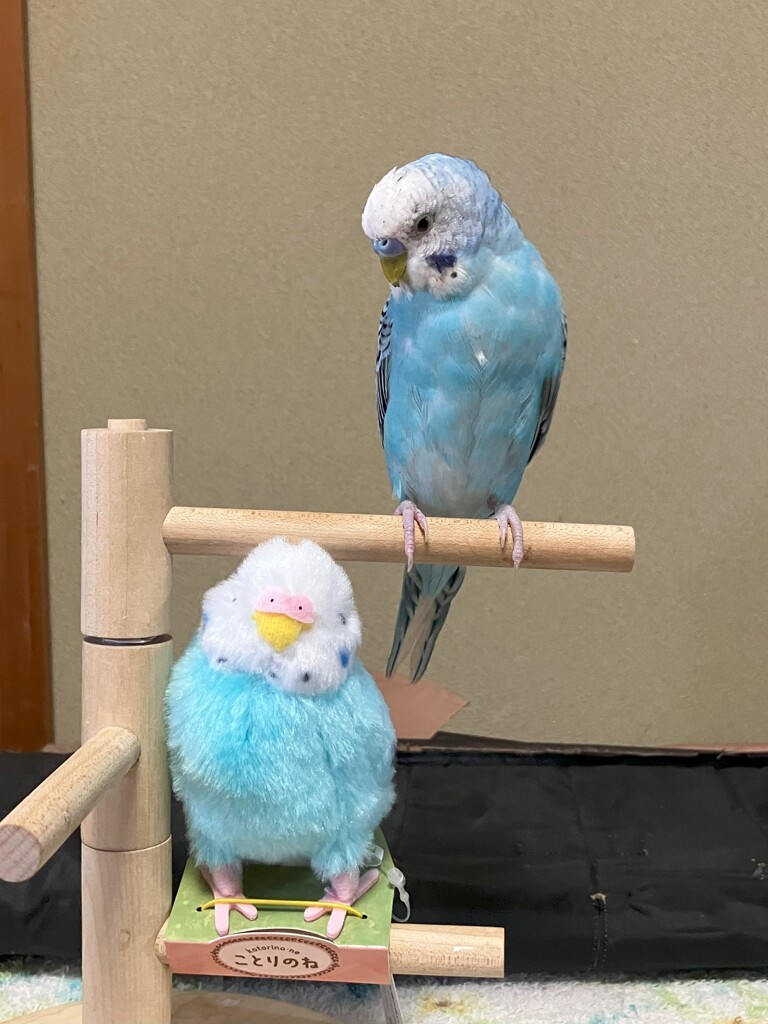 うわっ！お前は誰だ？