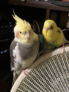 仲良し