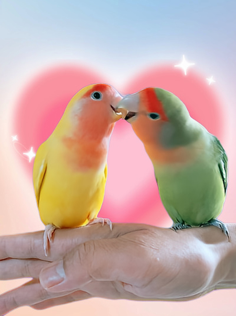 きい＆すもも
