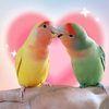 きい＆すもも