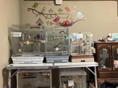 かわいいね！壁が・・