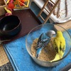 ねえねえ　ここのごはん美味しいよね