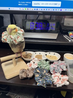 足 怪我しちゃった シュシュでエリザベスカラー替わり