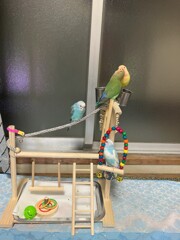 第二公園完成
