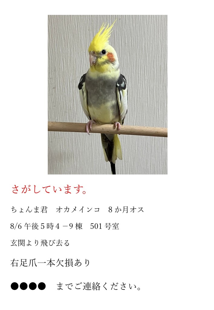 1　ちょんまが逃げた　ところが・・2に続く