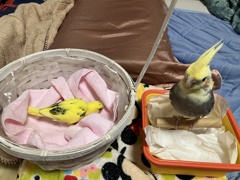 一緒に寝ました