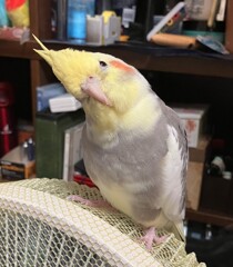 ん？
