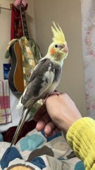 共演しようね
