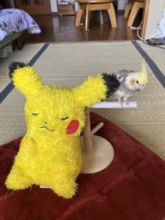なんか 似てる