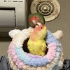 愛の巣