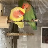 二人はこうして寝てます。