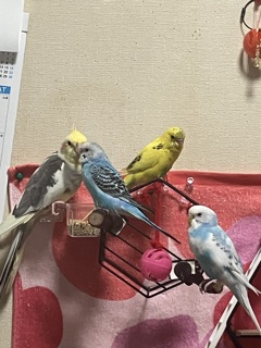 集団生活に慣れてきたよ