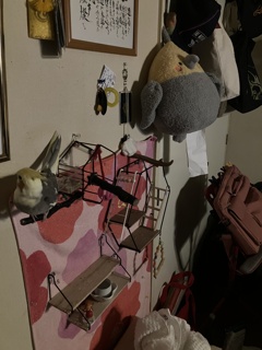 夜　寝る前　