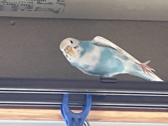 ストレッチ