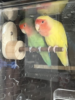 仲良き事