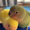 現在の姿
