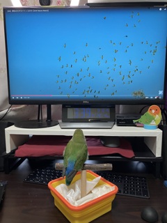 実はこの後画面に飛び込んだ