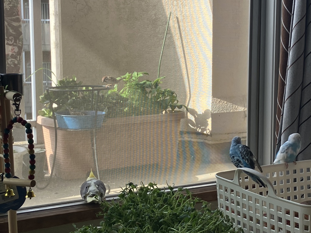 早朝お友達とご挨拶