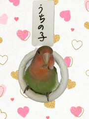 なぜか母はこう呼ぶ