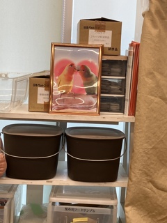 NICO PET SHOPに飾ってもらいました。