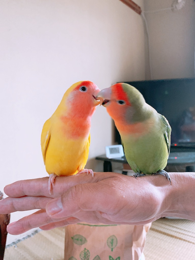こんどは頑張ろう